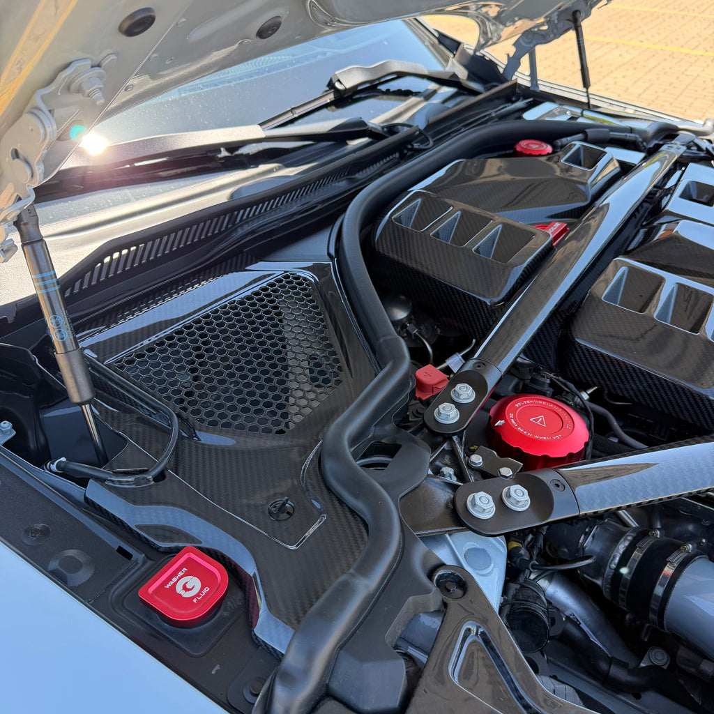 G8X Dry Carbon Fiber Rear Air Vent Covers (Rear Cowls)