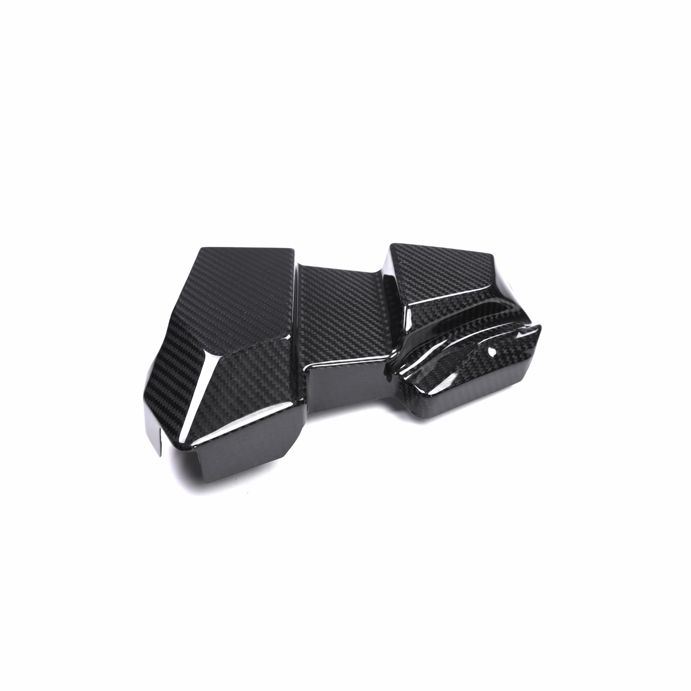 G8X Dry Carbon DME/ECU Cover